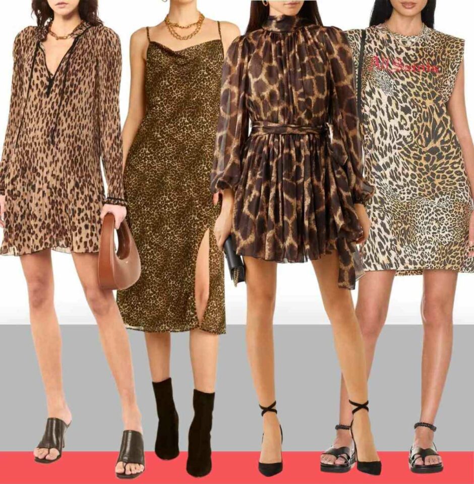 12 Fab Color Shoes To Wear With Leopard Print Dress Outfits Cheetah