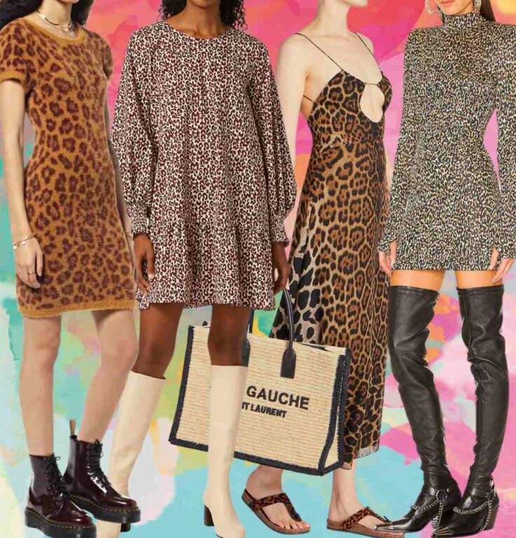 12-fab-color-shoes-to-wear-with-leopard-print-dress-outfits-cheetah