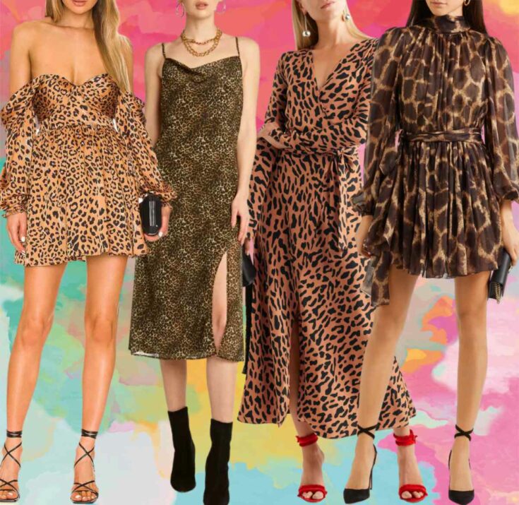 12-fab-color-shoes-to-wear-with-leopard-print-dress-outfits-cheetah