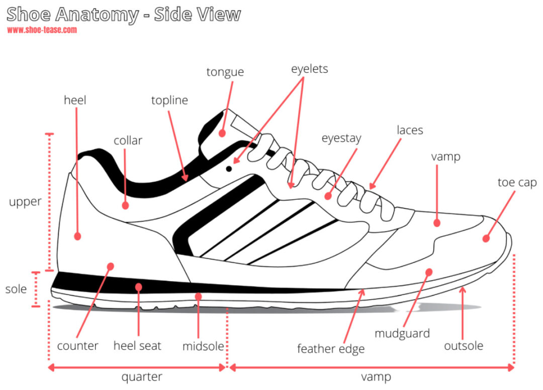 Shoe Anatomy Guide - 40+ Different Parts of a Shoe with Names & Images