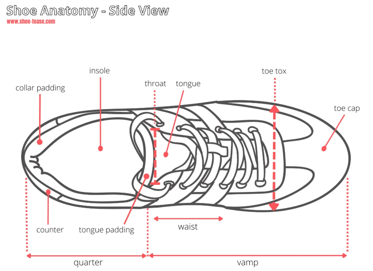 bottom of shoe outline